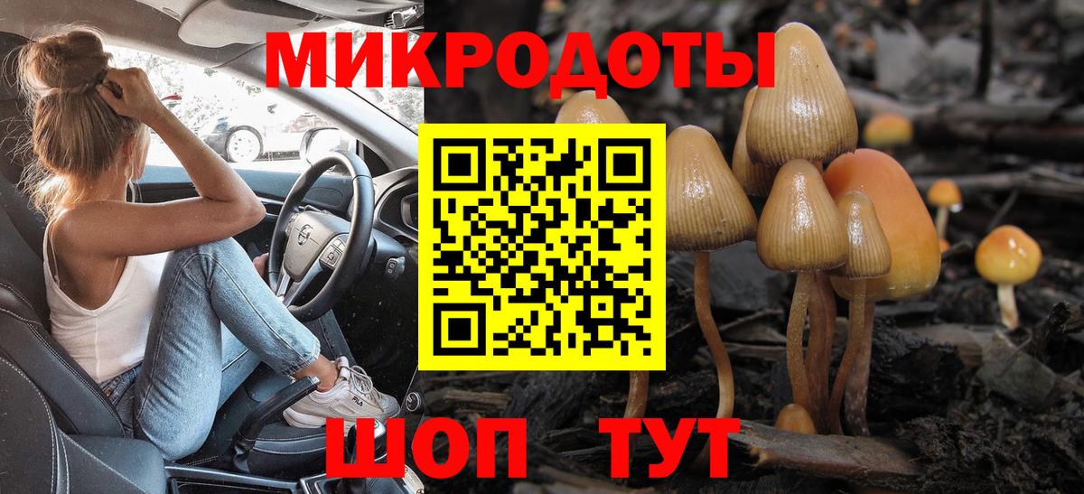 Псилоцибиновые грибы Magic Shrooms  Вход с VPN  Котлас 